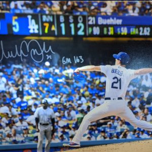 Buehler Game 163 Canvas