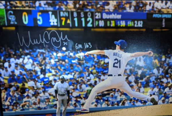 Buehler Game 163 Canvas