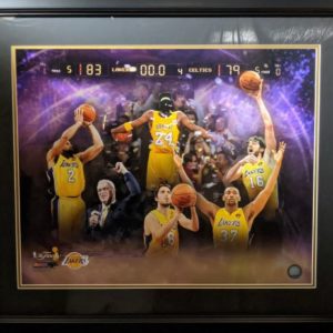 2010 Laker Collage